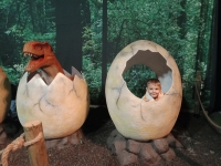 img20231206143639-kopiowanie-jpg1706818794